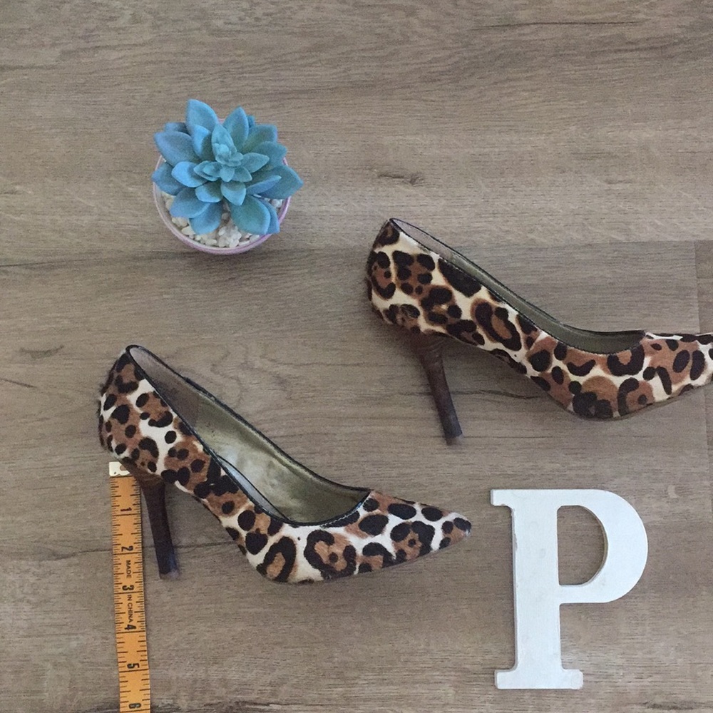Its all about the Animal print!!